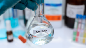 Ammoniaca liquida